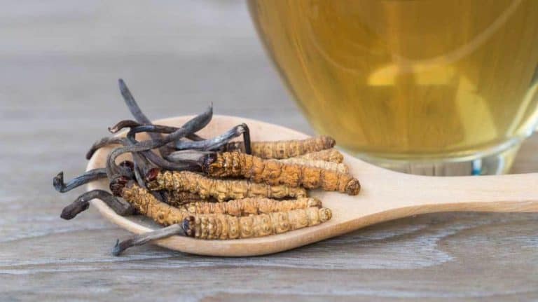 Adaptogen, który poprawia wydolność oraz dużo więcej – potwierdzone badaniami